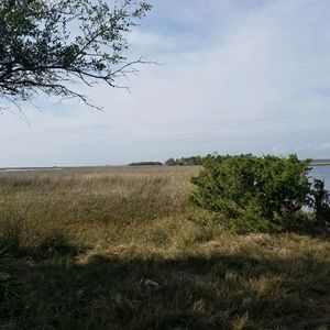 Meet your Posher, Peggy